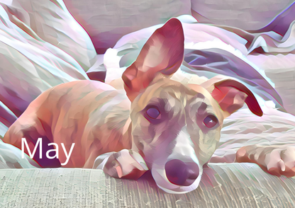 Whippety A4 Wall Calendar 2026