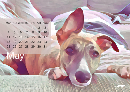 Whippety A5 Desk Calendar 2026