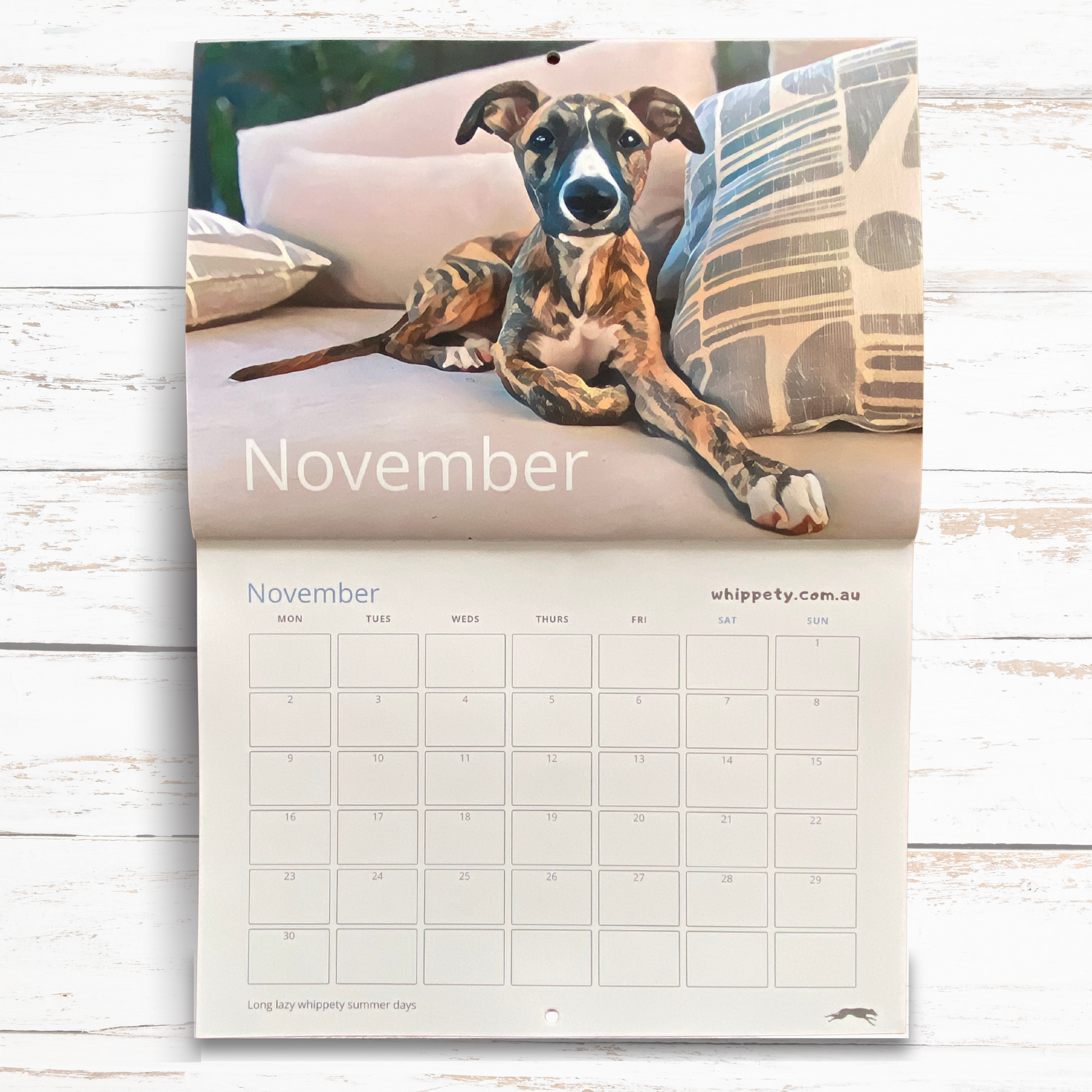 Wall calendar page for November with a whippet dog on a couch, on a wooden surface.