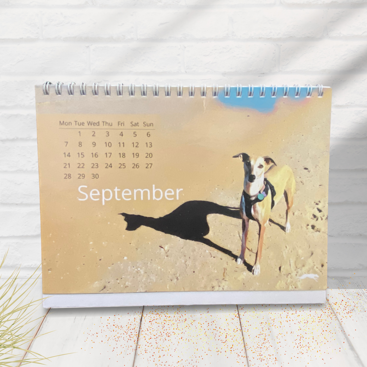 Small calendar for September with a whippet dog on a beach, on a wooden surface.