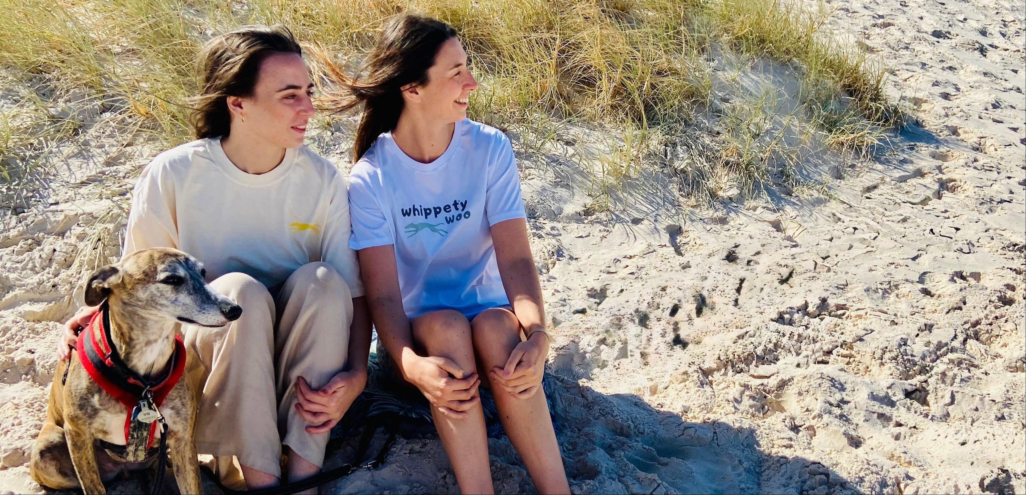 Two people sitting on a sandy beach with a whippet