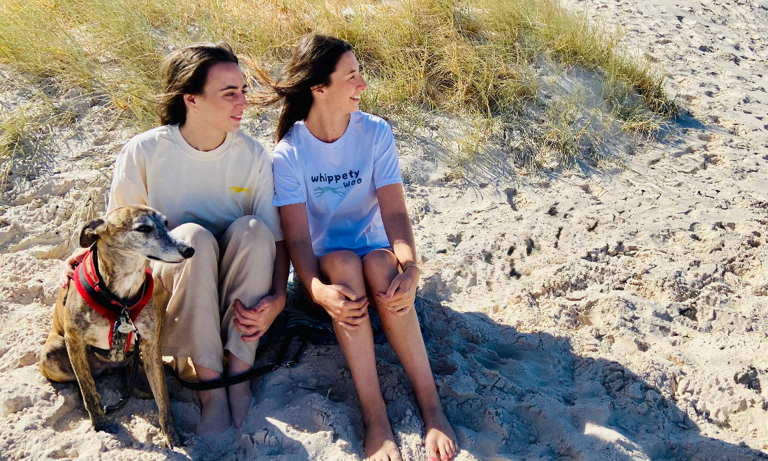 Two people sitting on a sandy beach with a whippet 2