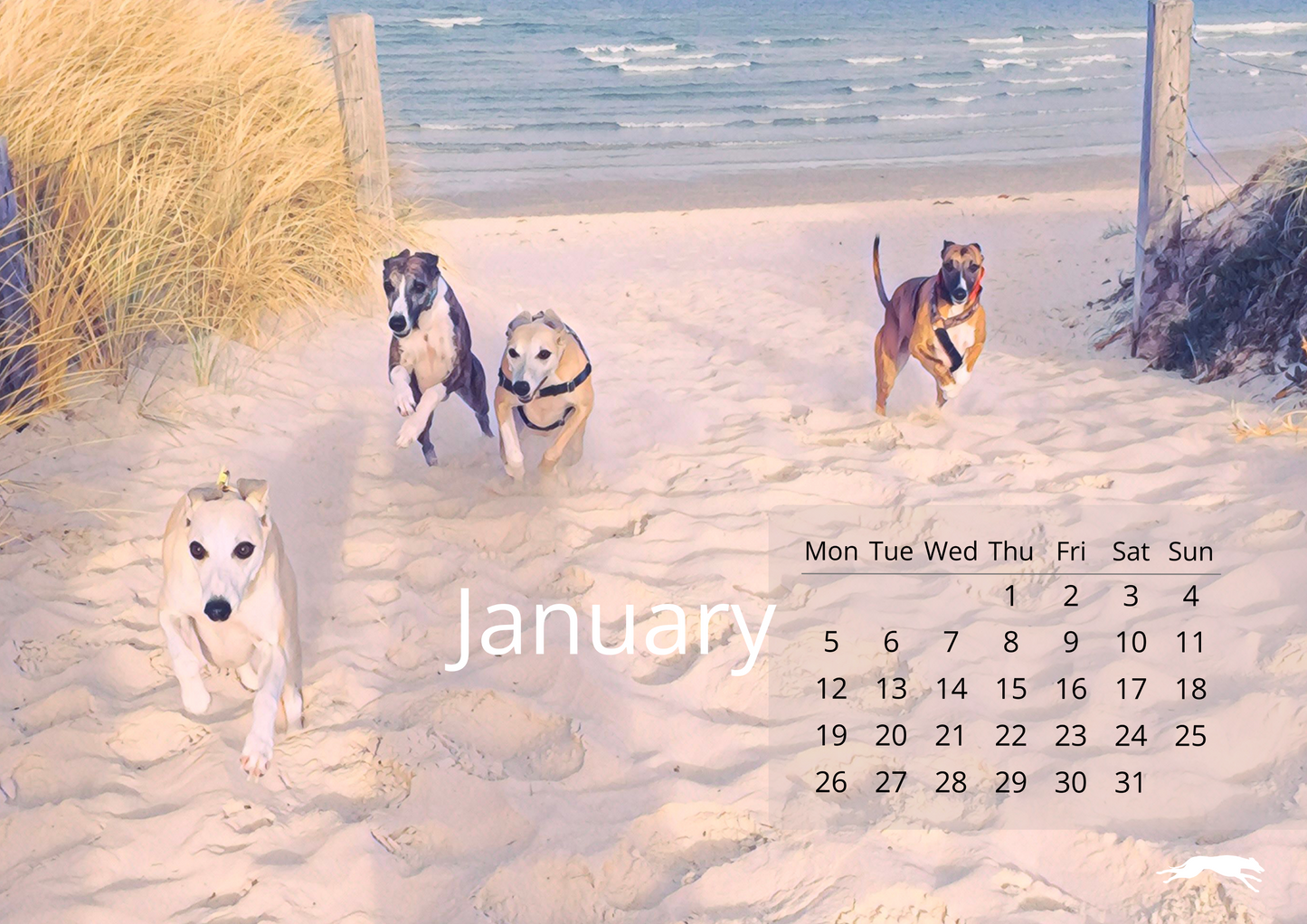 Whippety A5 Desk Calendar 2026
